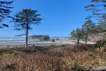 original Ruby Beach