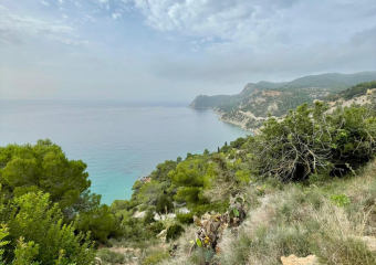 Bild Ibiza und Formentera - ein Stück Karibik in Europa Reisebericht