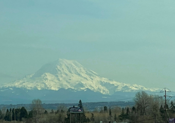 Bild Seattle und Washington State Reisebericht